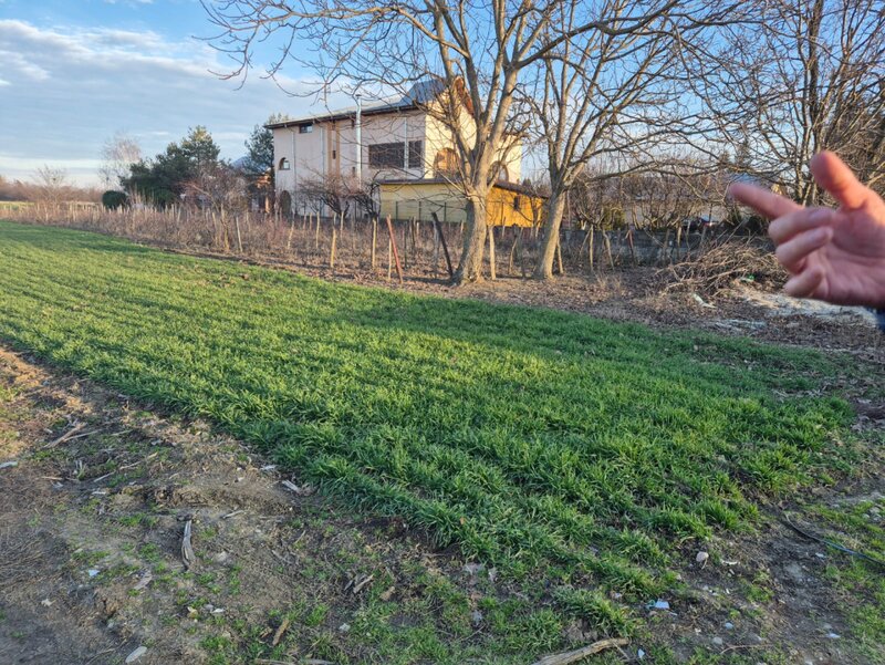 Tandava vand teren in cu deschidere la padure (Gradinari, Giurgiu)