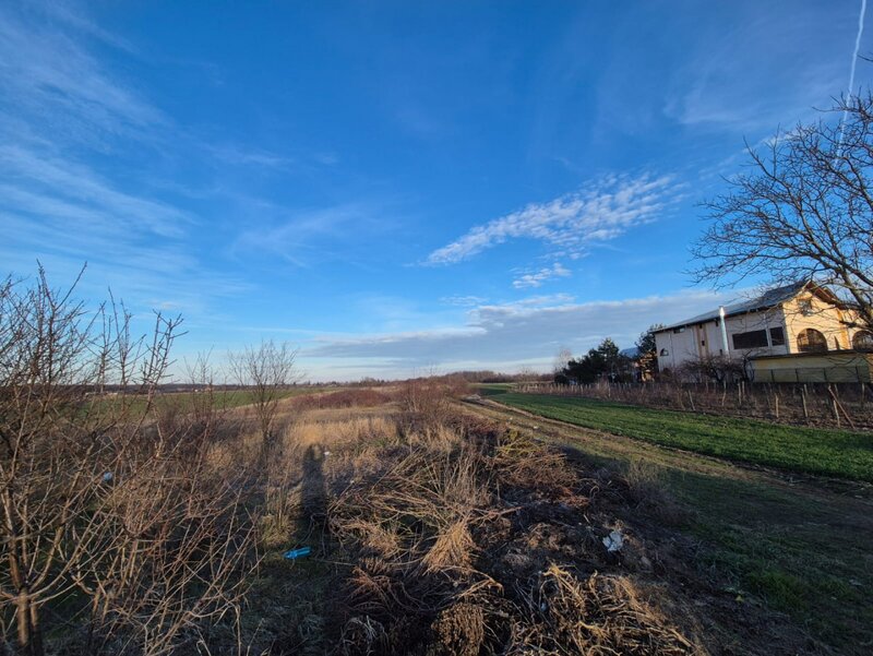 Tandava vand teren in cu deschidere la padure (Gradinari, Giurgiu)